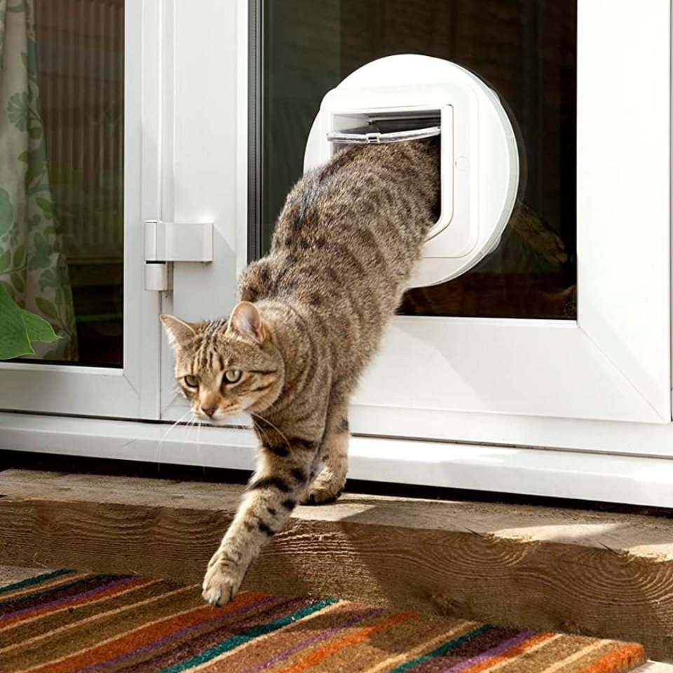 SureFlap Cat Flap with Microchip Identification