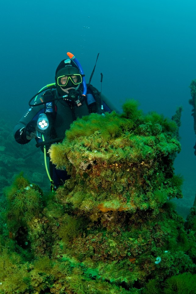 You can jump into the harbour and see a historic World War Two shipwreck