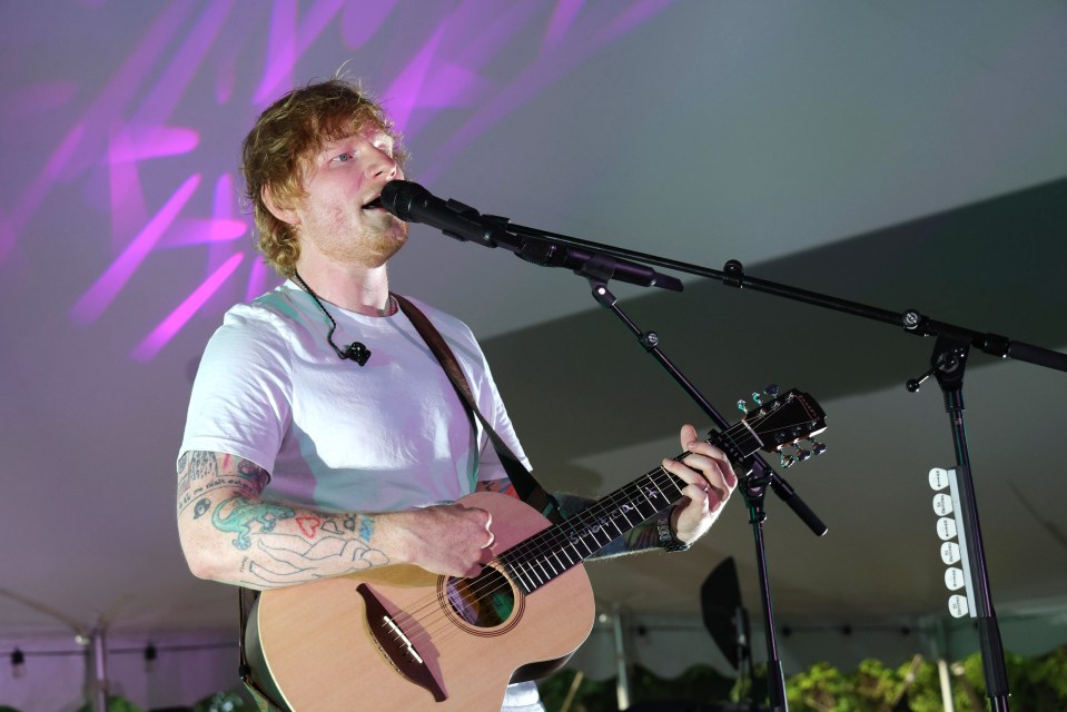 Big stars are out in force to see Ed Sheeran