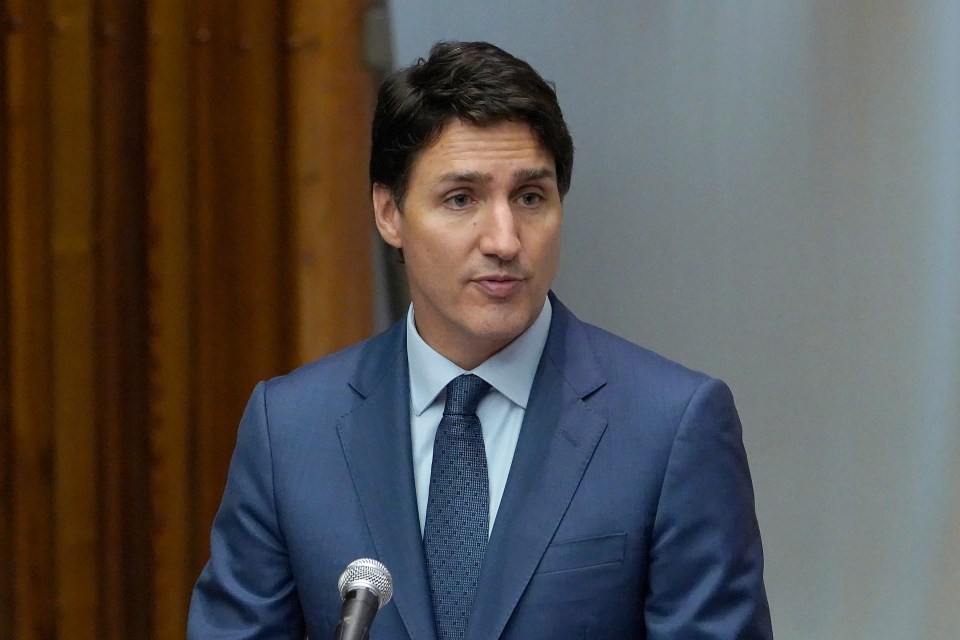 Canadian president Justin Trudeau is tightening laws in the country to hold individuals accountable for their words