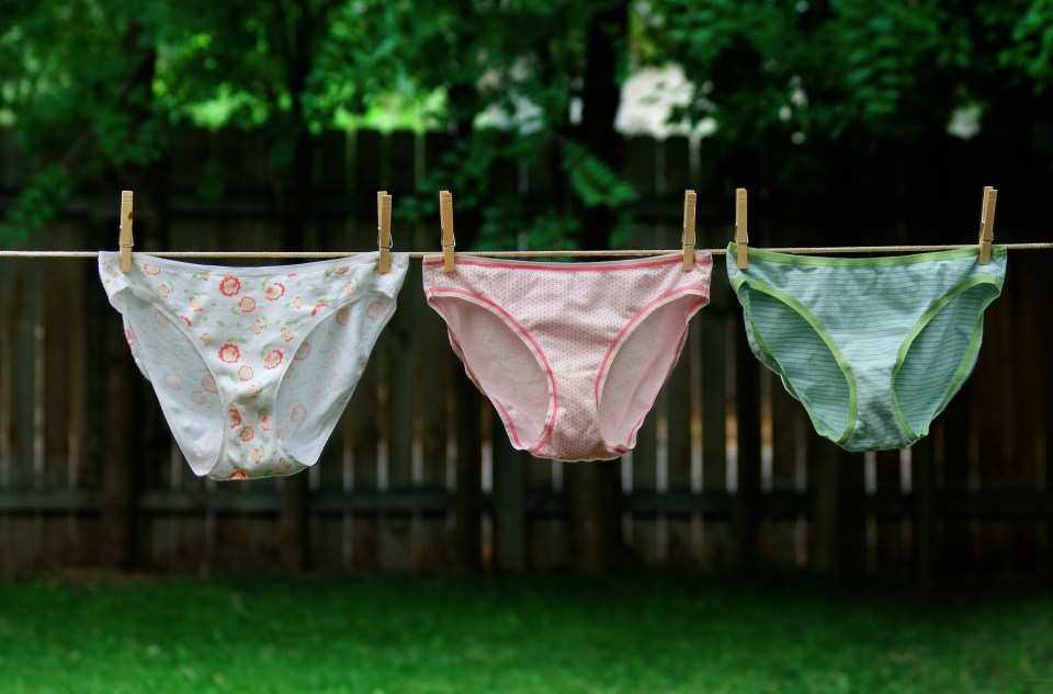 three pairs of panties hanging on a clothesline