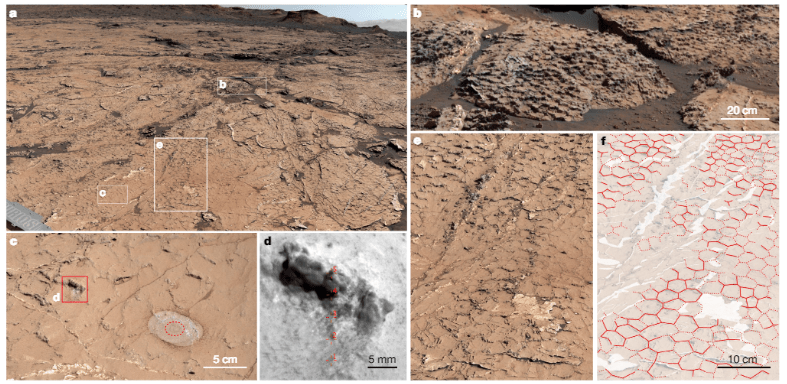 Wet-dry cycles on Mars could have helped create the building blocks of life