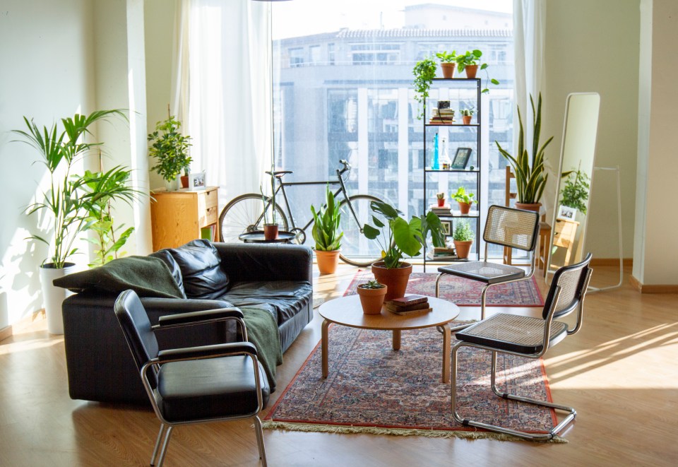 They also said that indoor plants can look cluttered and overwhelming