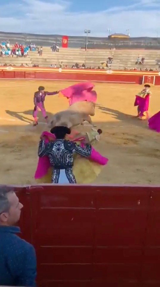 Several bullfighters rushed to his aid to help him escape the beast