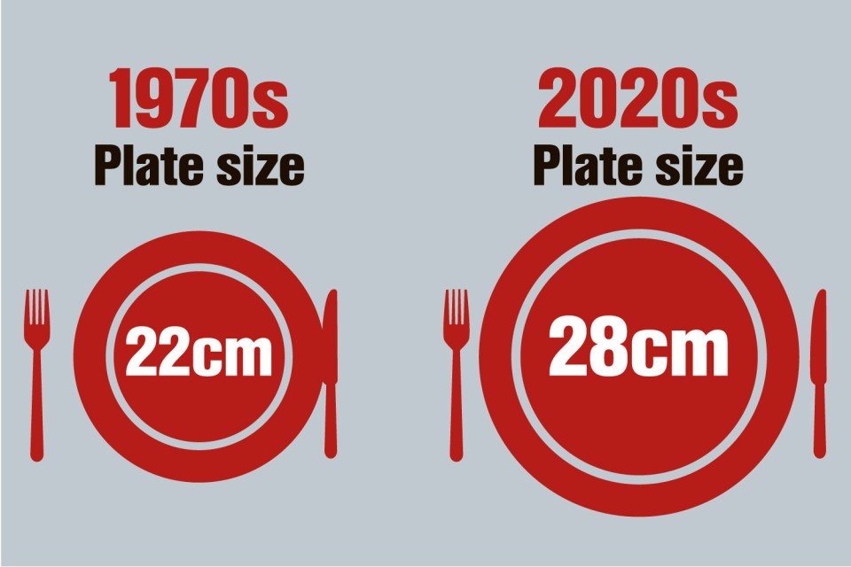 Even the actual sizes of our plates are much bigger now