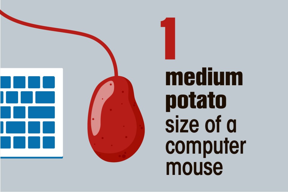 You should have one medium potato, the size of a computer mouse