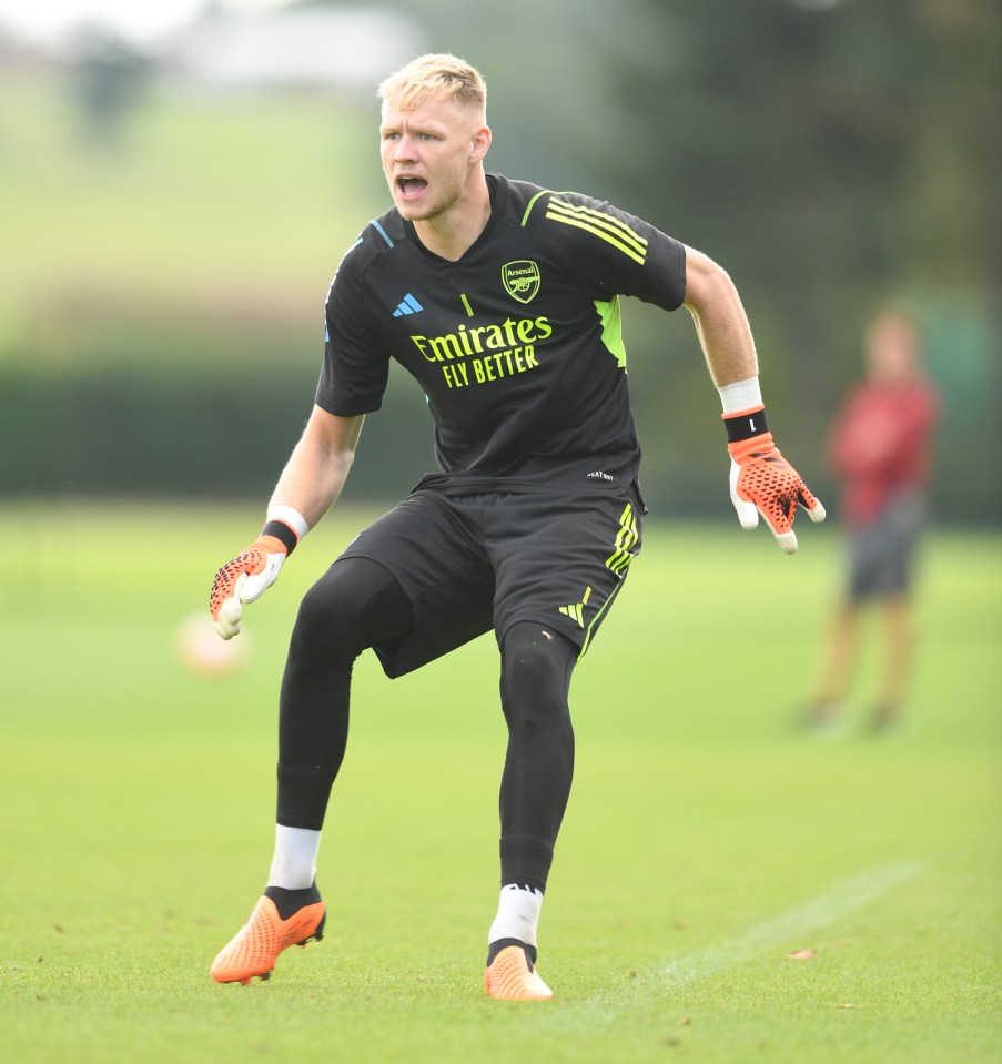 Ben Foster has backed-up current Gunner No1 Aaron Ramsdale