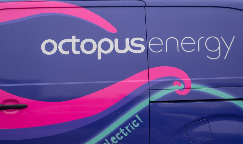 Thousands of Octopus Energy customers have been paid to use their electricity