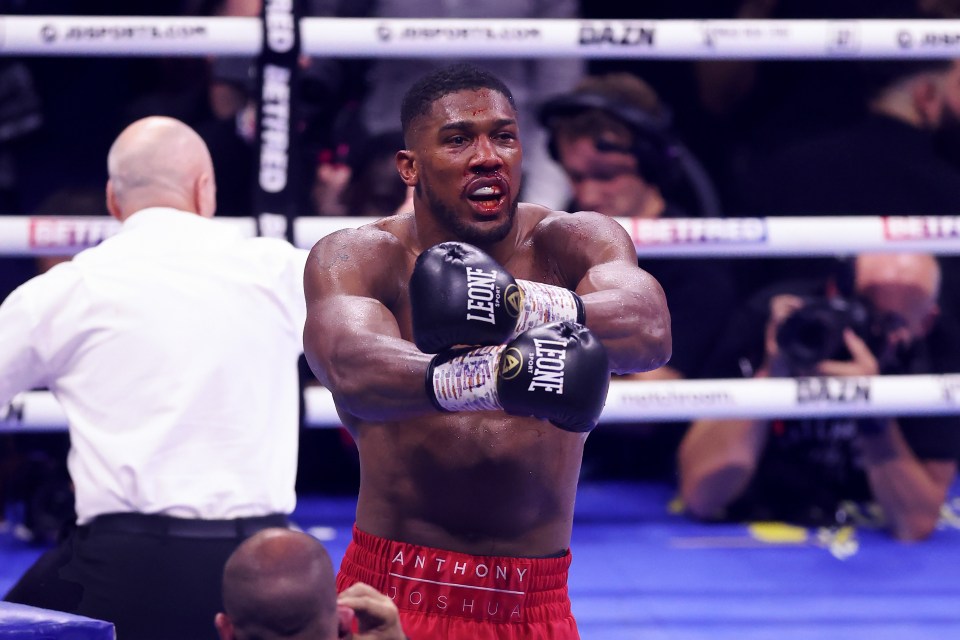 Anthony Joshua will be back in the ring in December if his fight with Deontay Wilder falls through