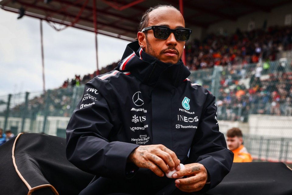 Lewis Hamilton has huge brand worth to Mercedes so is in a good position to drive a hard bargain over a new contract