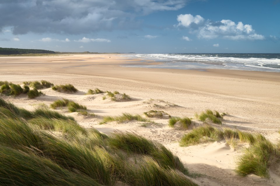 Holkham Beach has miles of untouched golden sand