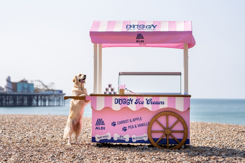 Langham’s doggy ice cream from Aldi, £2.99 for a pack of four pots