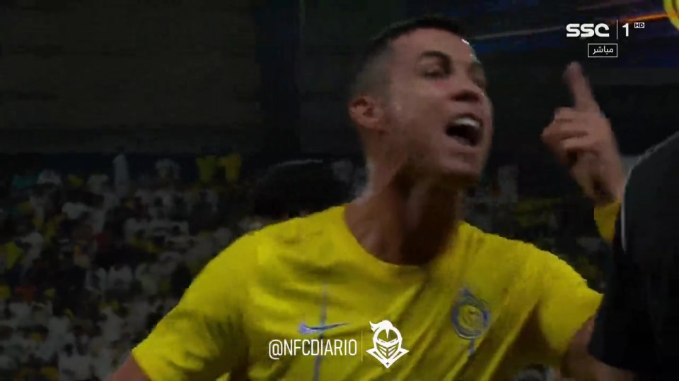 Cristiano Ronaldo raged at an official on the touchline