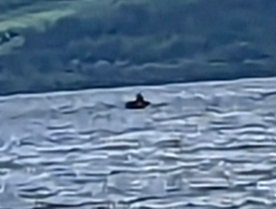 A holidaymaker spotted a mysterious black shape in the water at Loch Ness