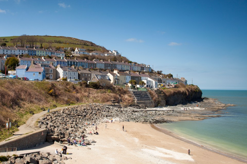 In New Quay, holidaymakers can go dolphin-watching