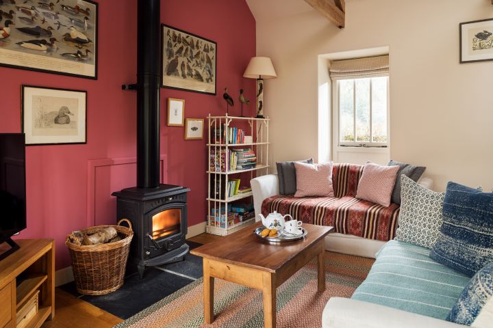 It features a stylish yet cosy living room with a pink accent wall