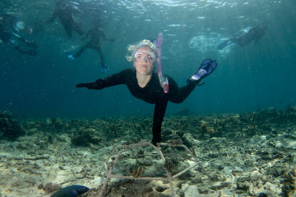 Ellie recently visited the iconic SHEBA Hope Reef in Indonesia