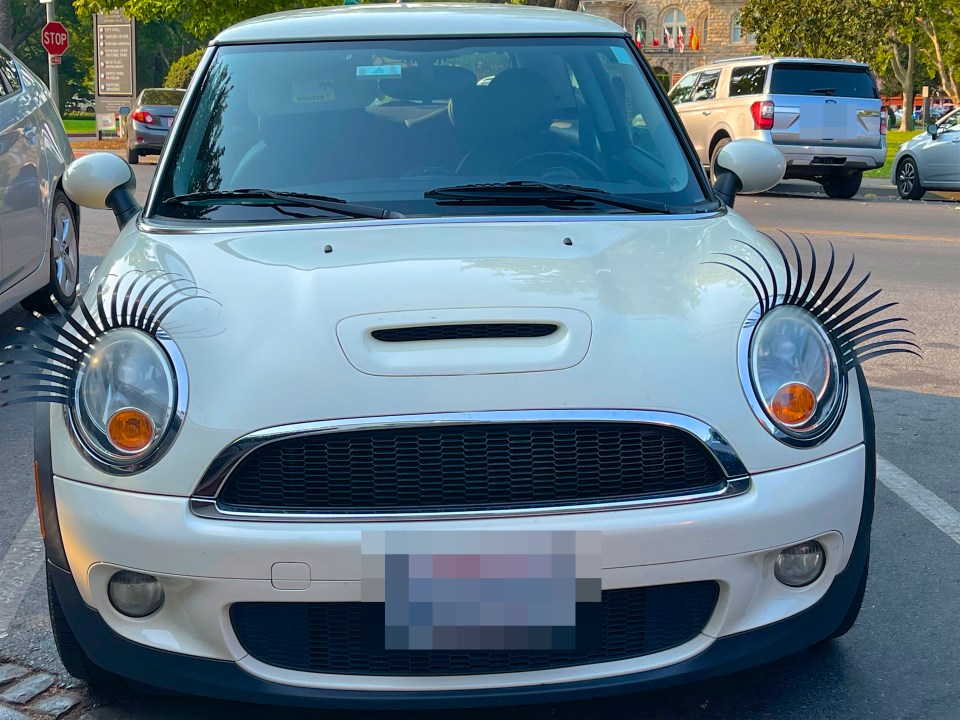 Alex Hamilton shared a post to his blog detailing the 'most tacky car accessories' a driver can buy.