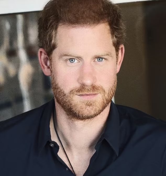 Prince Harry's hair looks thick and dark in a BetterUp mugshot