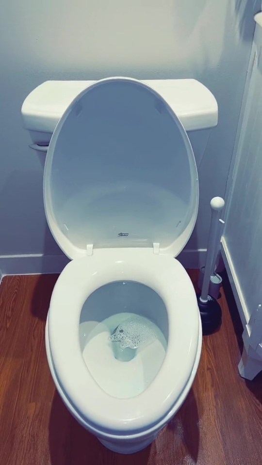 A cleaner has revealed that people always make a big mistake when cleaning their loo