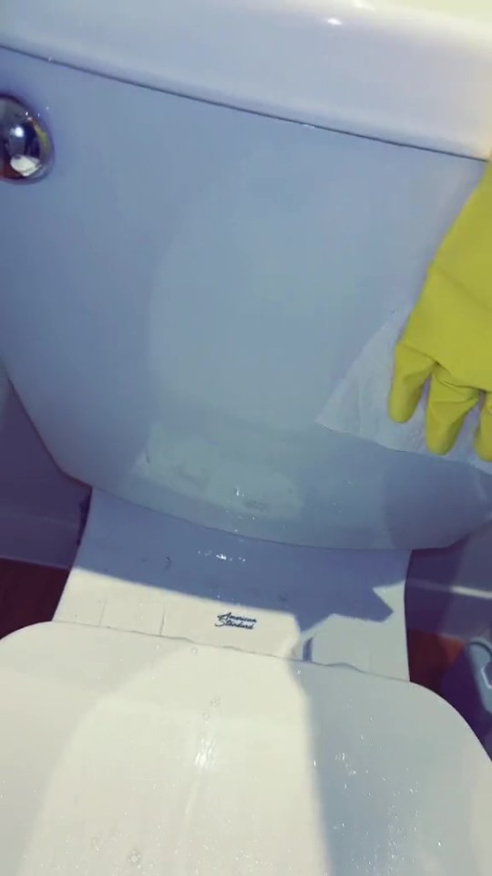 Posting on TikTok, the cleaning fan explained that you should never use a microfiber cloth when cleaning a toilet