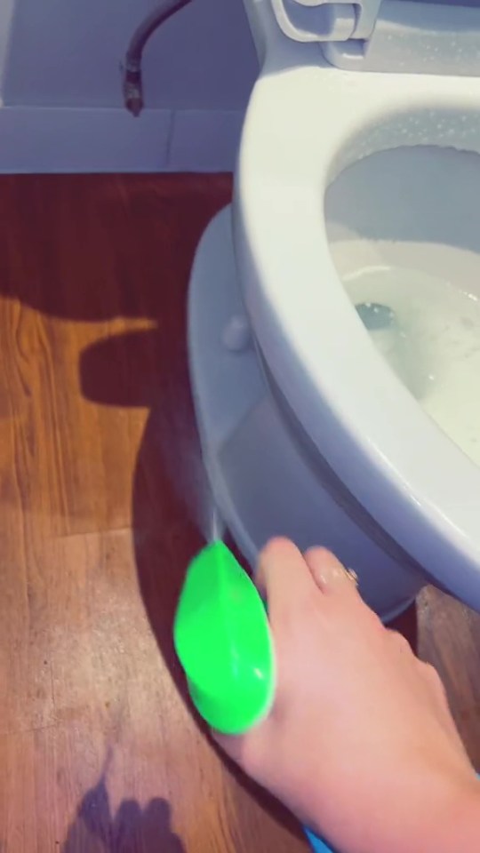 So if you want to make sure there's no bacteria sitting on your toilet, you'll need to pay attention