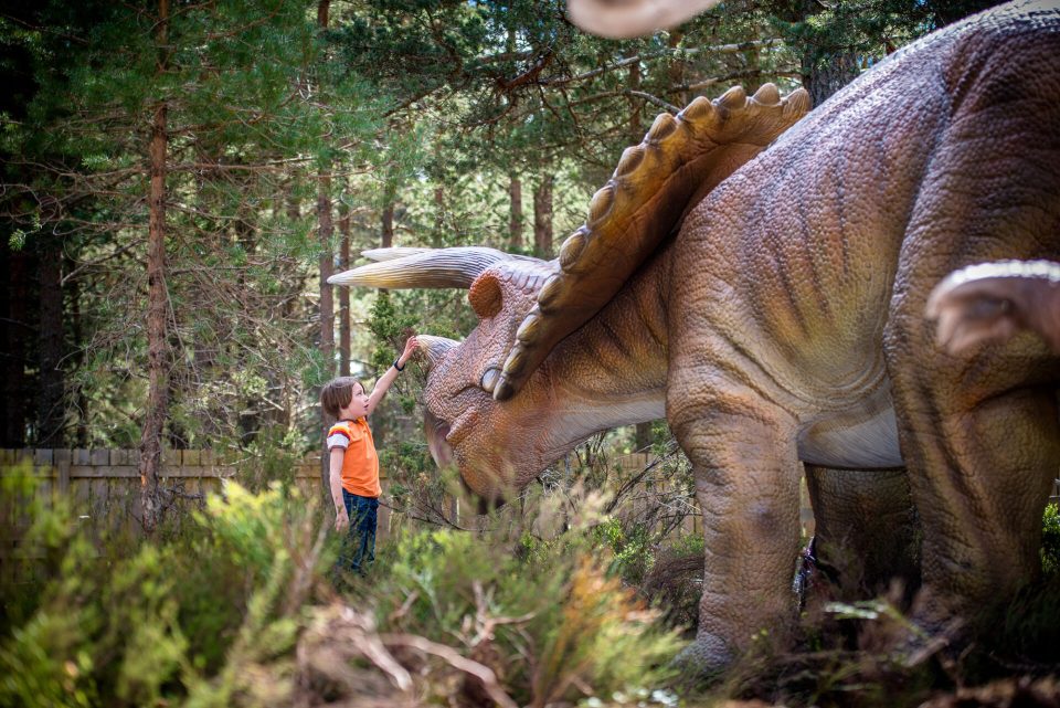 Landmark Forest Adventure Park was named one of the Top 10 Adventure Parks in the UK by TripAdvisor