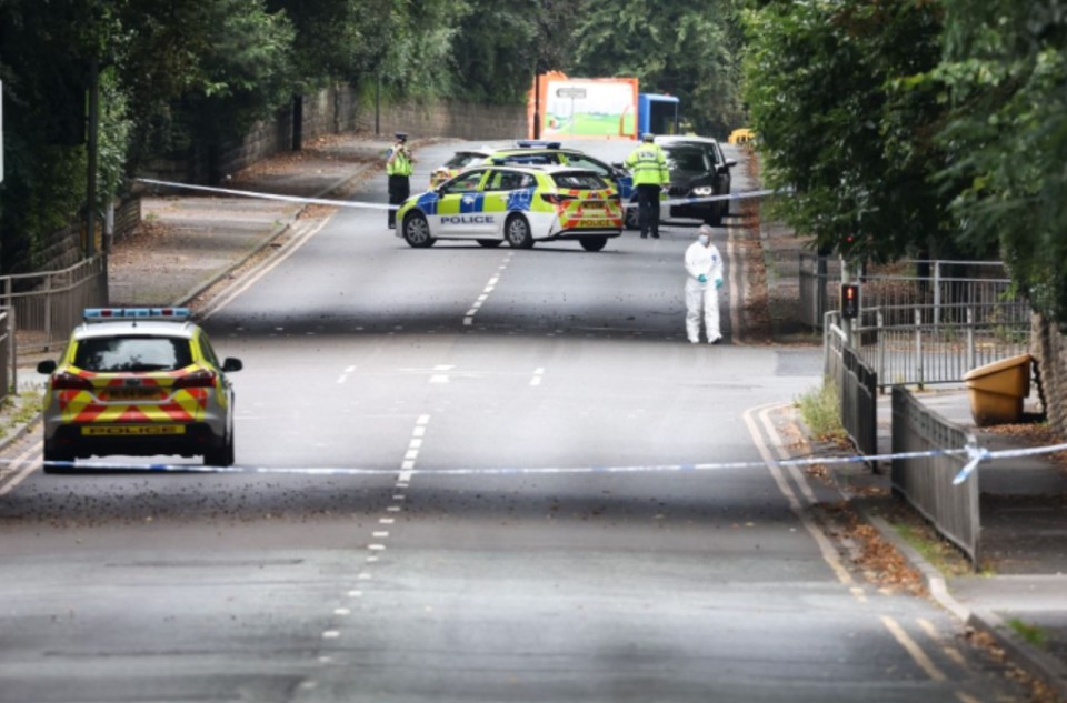 Officers have arrested a man, 18, over the death of another 18-year-old who 'climbed onto the bonnet of his car'