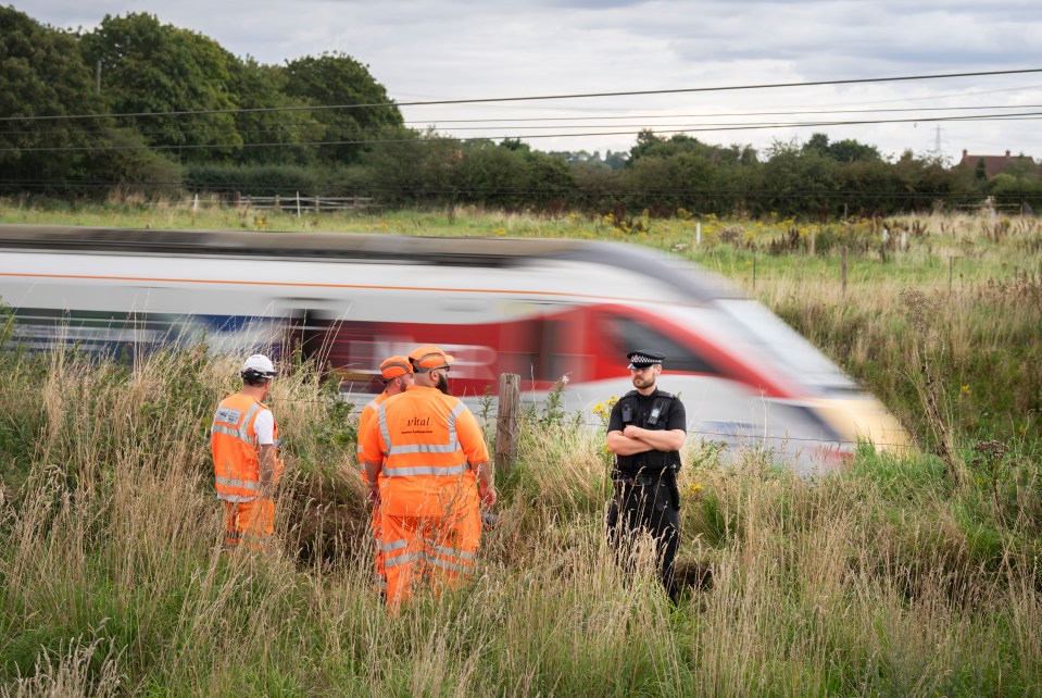 A policeman hit by a train while attempting to save a man on the tracks has died