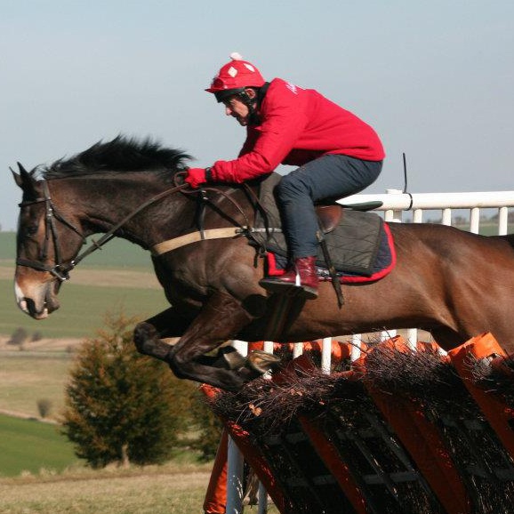 At one point, Anthony owned four racehorses