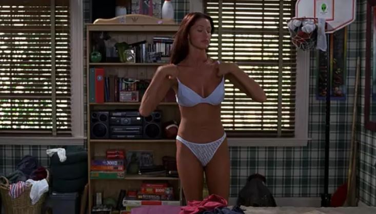 Shannon Elizabeth appeared as Nadia in the American Pie films