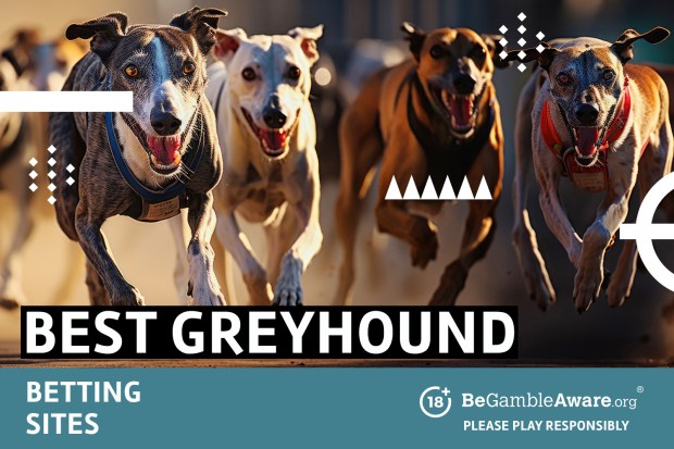 Best greyhound betting sites 18+ BeGambleAware.org Please play responsibly