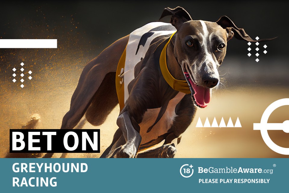 Bet on greyhound racing 18+ BeGambleAware.org Please play responsibly.