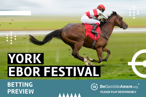 ebor festival betting preview