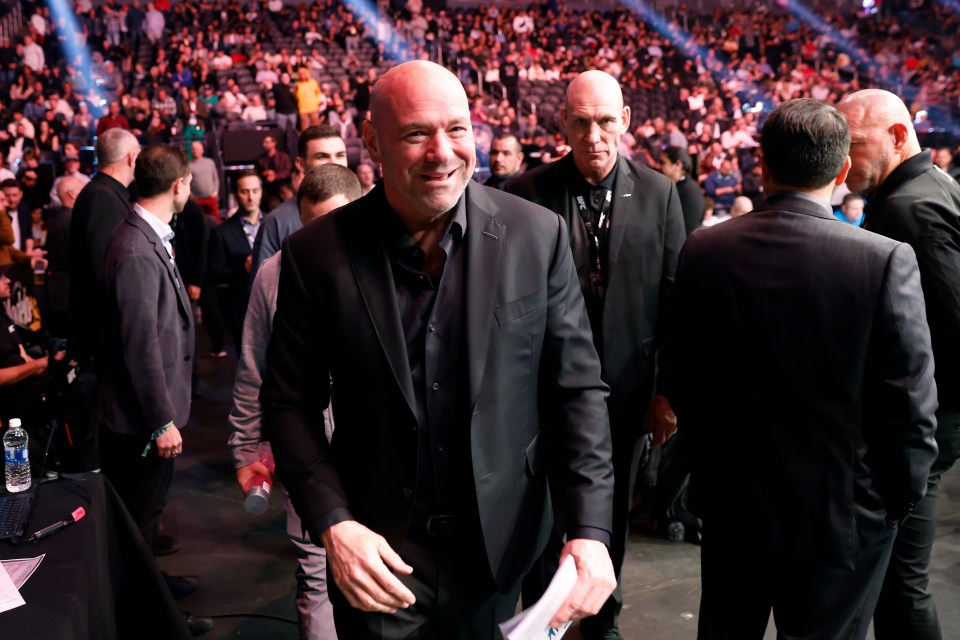 UFC boss Dana White has hinted The Notorious will be back in action 'early' in 2024