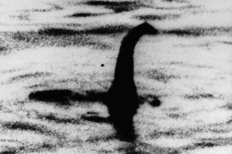 The largest hunt for the Loch Ness Monster in 50 years has come up with nothing