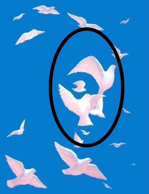 Did you spot the face among the white birds?