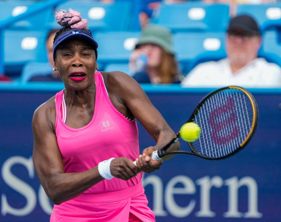 Venus Williams was considering his future before a taxi driver's mistake