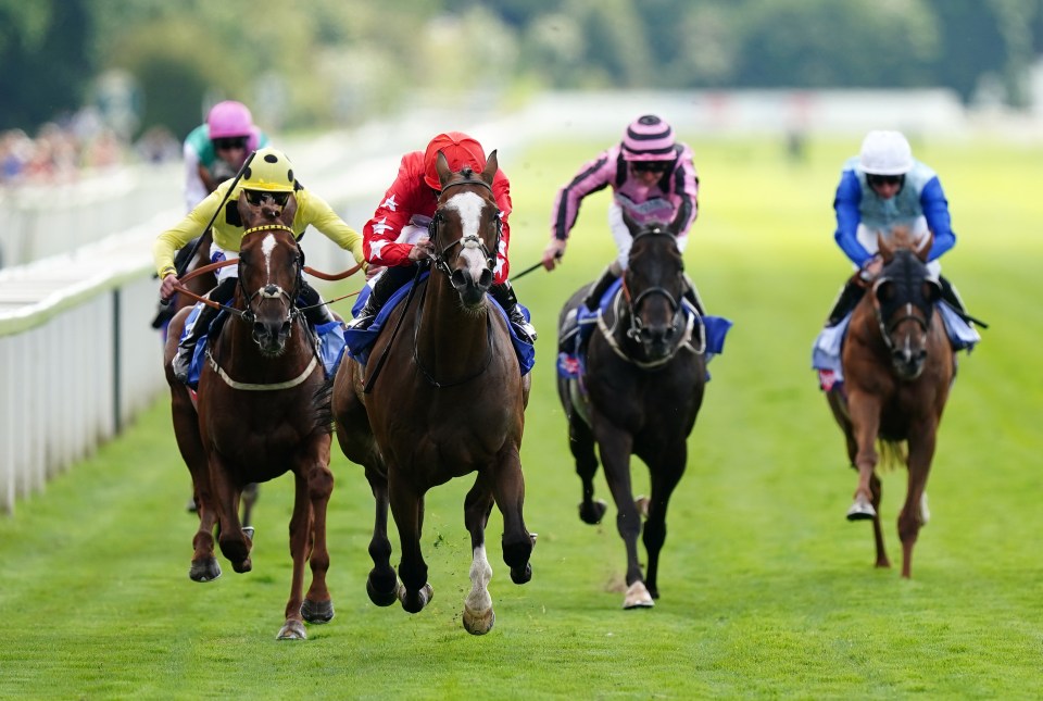 a group of jockeys are racing horses on a track