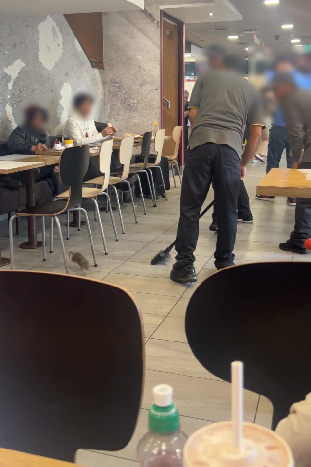 McDonald's staff attack the rat in the Westfield Stratford City branch in East London