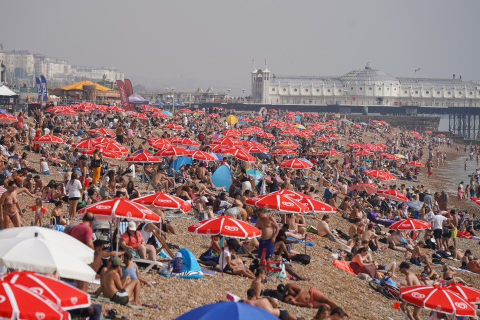 Members of the public enjoy the weather on Brighton beach