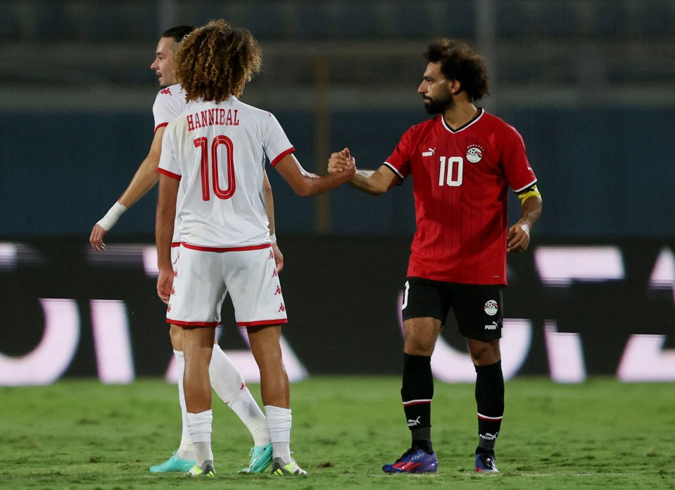 The pair shook hands after Tunisia's win over Egypt