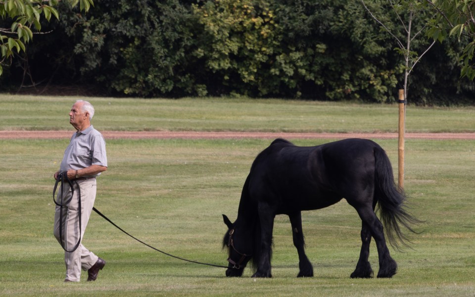 The Queen's Head Groom Terry Pendry walks her pony Emma