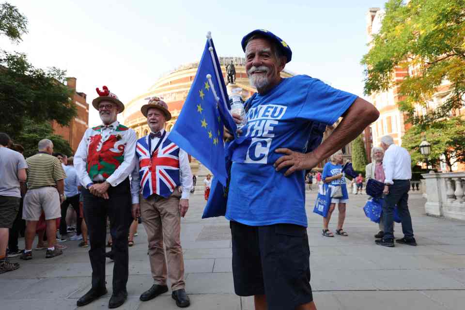 Pro-EU activists hand out EU flags as concert-goers arrive at the Royal Albert Hall