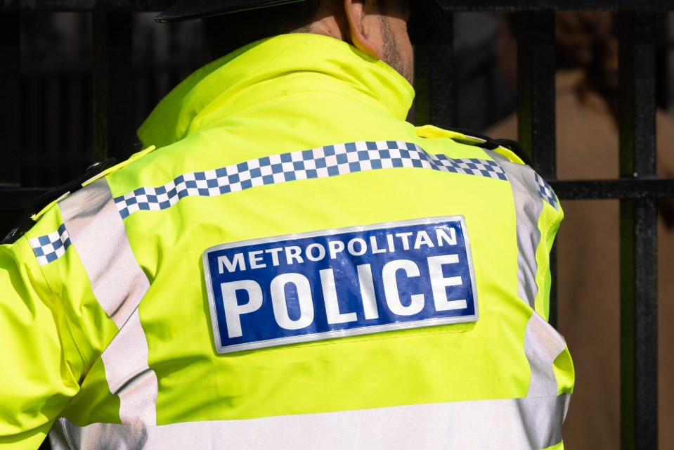 1,600 Met Police officers and staff have been subject to complaints of violence against women and girls, or discrimination