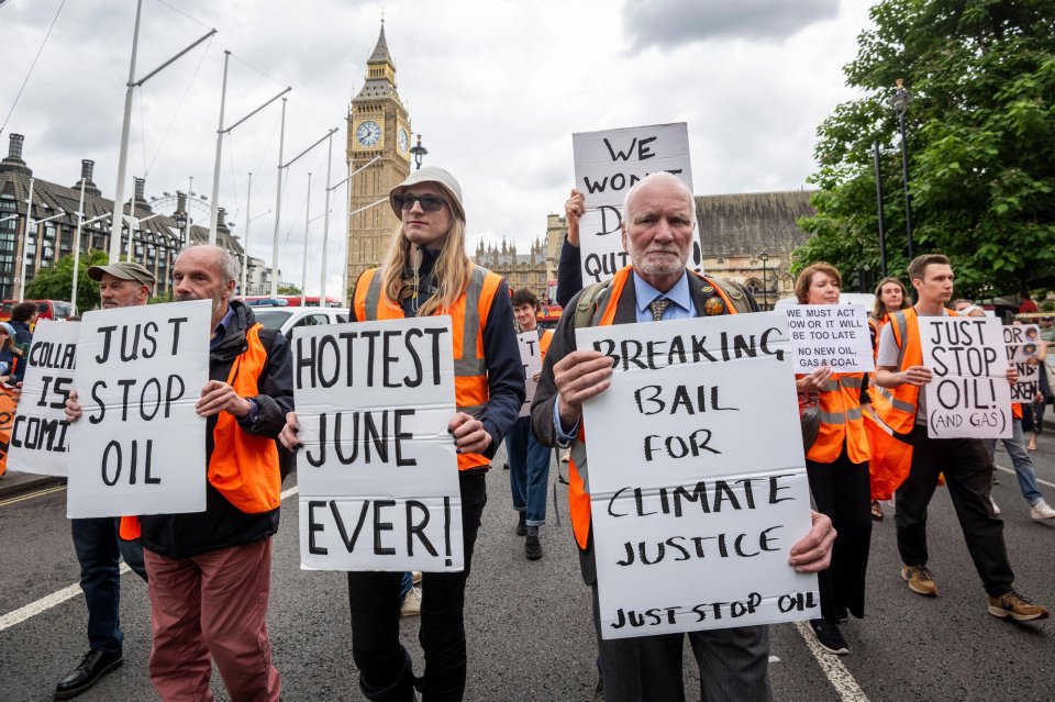 Former Scotland Yard detective Peter Bleksley called the BBC host's comments on activists 'hugely irresponsible'