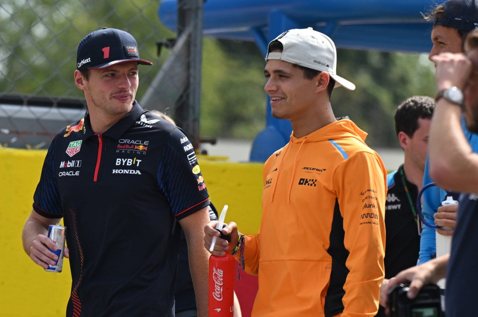 Red Bull like Norris, who gets on well with Max Verstappen