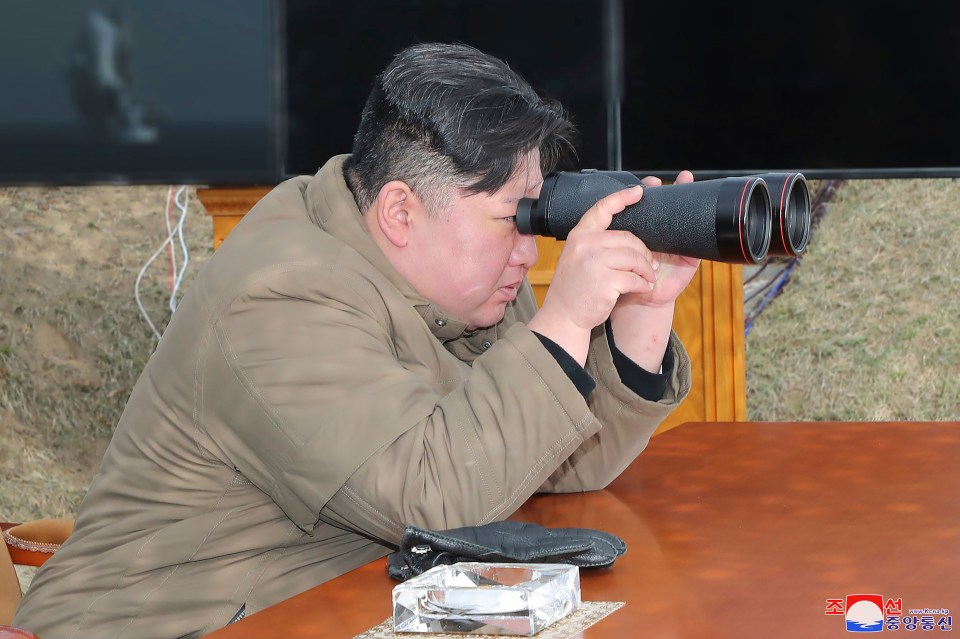 Wild suggestions have been made the Kim Jong-un ordered the high-jacking