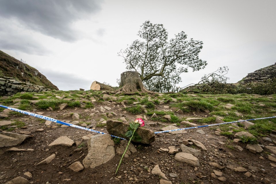 Nina Miljus placed a rose at the shocking scene