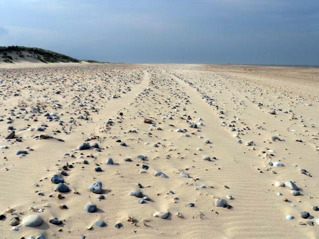 A body part was found on Winterton beach